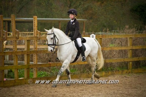 Colette’s Show Jumping and Team Dressage <br /> at Blue Barn Equestrian Centre (1460) 