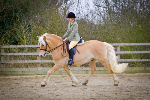 Colette's Spring Show at Blue Barn Equestrian Centre (1504) 