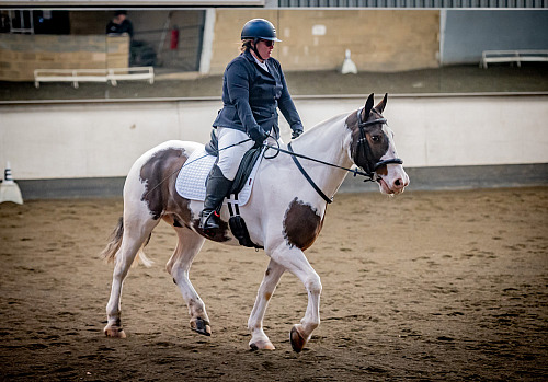 Redhorse Dressage at Willow Farm (QP2302) 