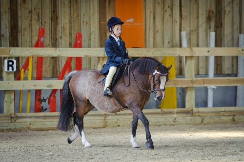 Saddlesdane Showing Show at Saddlesdane Showground, Baddlesmere (1316) 