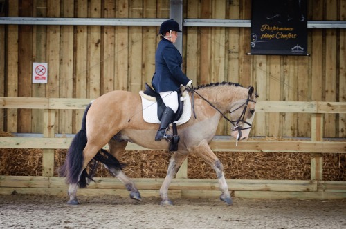 British Dressage at Saddlesdane Showground, Baddlesmere (1339) 