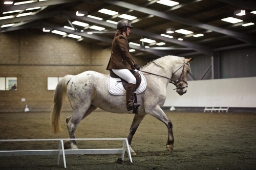 Red Horse Dressage at Willow Farm Equestrian Centre (1509) 