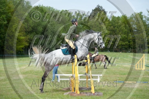 Kent Festival of Showing and Jumping at Farming World (1511) 