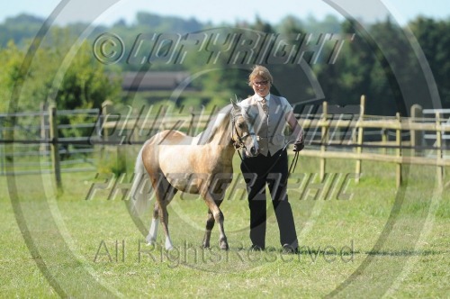 Ashford Valley RDA at Saddlesdane Showground (1513) 