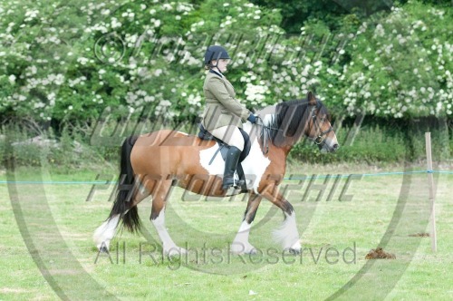 Walmer Horse & Dog Show (1514) 