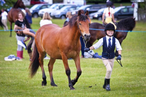 Colette's Denne Hill Horse Show (1515) 