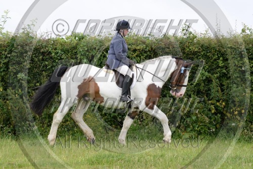 Colette's Meopham Horse Show at White Horse Farm (1518) 