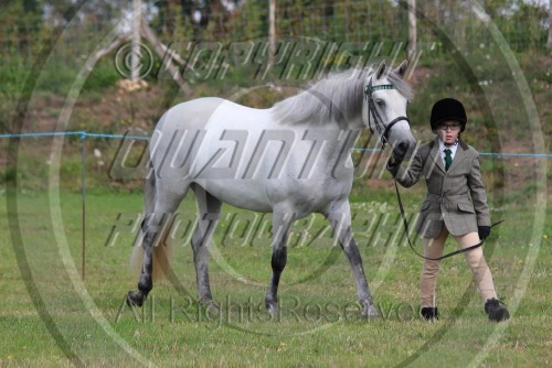 Colette's Faversham Horse & Dog Show at Willow Farm Equestrian Centre (1521) 