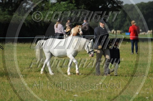 Colette's Summer Showing Festival at White Horse E.C. (1524) 