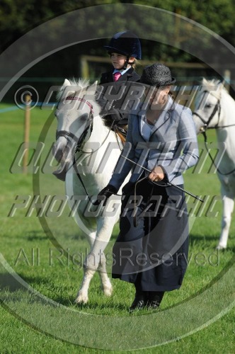 Colette's Mid-Week Summer Horse Show at Barville Farm (1526)  