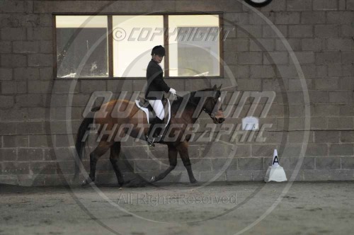 Red Horse Dressage at Willow Farm Equestrian Centre (1534) 