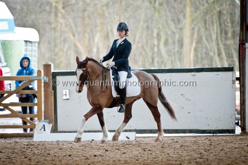 Colette's Dressage at Jenkey Farm (1702) 