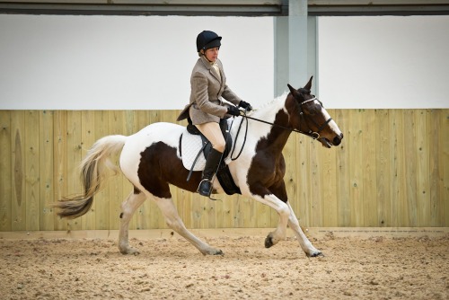 Colette's Dressage at White Horse Farm (1703) 