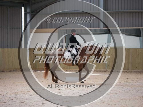 Colette's Dressage at White Horse Farm (1707) 