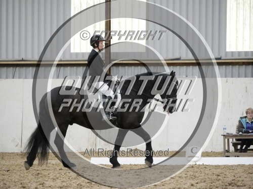 Colette's Dressage at Jenkey Farm (1713) 