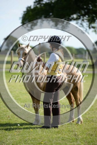 Colette's Summer Show at Saywell Farm (1720) 