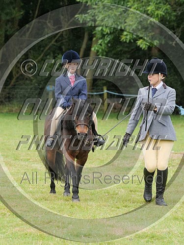 Colette's Open Horse Show at Denne Hill (1813) 