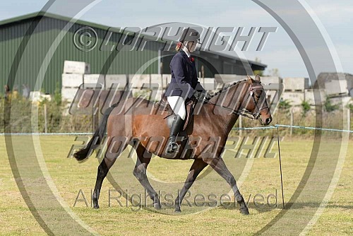 Colette's Faversham Horse Show at Willow Farm Equestrian (1824) 