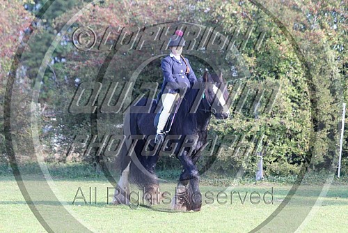 Nelson Park R.C. Autumn Show (Rhianna Howard Photography) 