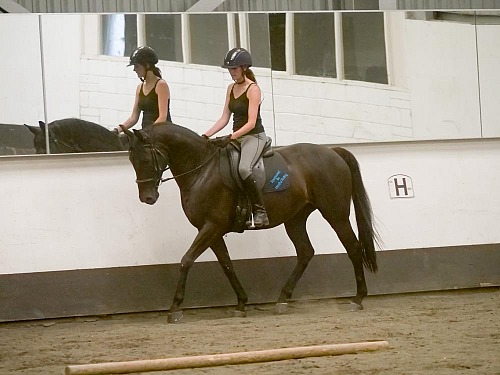 Showing Clinic at Willow Farm (1913) 