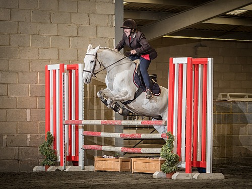 Colette's Indoor Show Jumping at Willow Farm Equestrian (1903) 