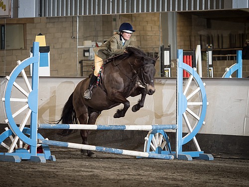 Colette's Indoor Show Jumping at Willow Farm Equestrian (1930) With Mounts,