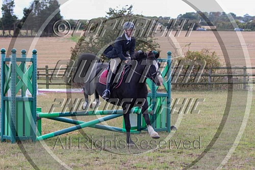 Nelson Park R.C. Horse Show (Rhianna Howard Photography) 