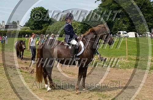 Walmer Horse & Dog Show (625) 