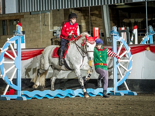 Colette's Christmas Show Jumping at Willow Farm Equestrian (1932) 8" x 6",Printing Sizes,