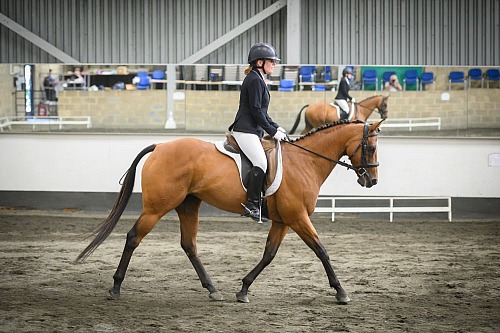 Redhorse Dressage at Willow Farm (2001) With Mount,