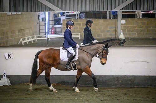 Redhorse Dressage at Willow Farm (2002) 8" x 6",With Mount,