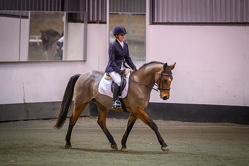  Redhorse Dressage at Willow Farm (2004) 