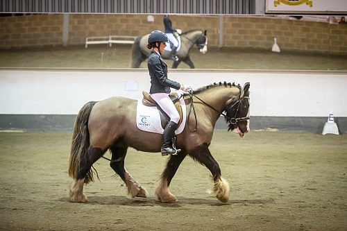 Redhorse Dressage at Willow Farm (2005) 