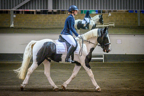 Redhorse Dressage at Willow Farm (2011) With Mount,