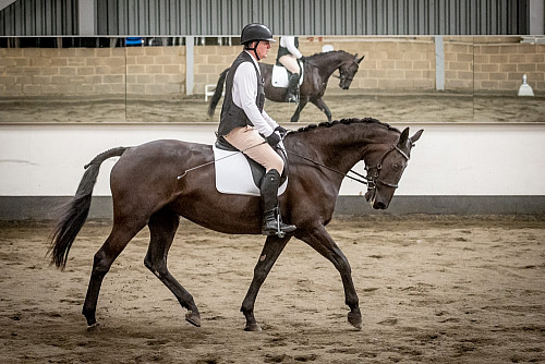 Redhorse Dressage at Willow Farm (2014) 