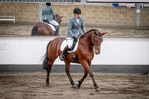 Redhorse Dressage at Willow Farm (2017) 