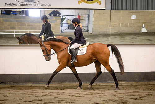 Redhorse Dressage at Willow Farm (2020) 