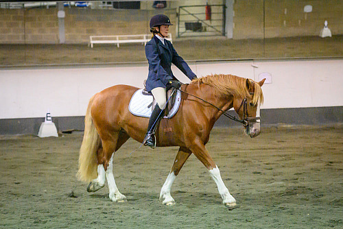Redhorse Dressage at Willow Farm (2021) 