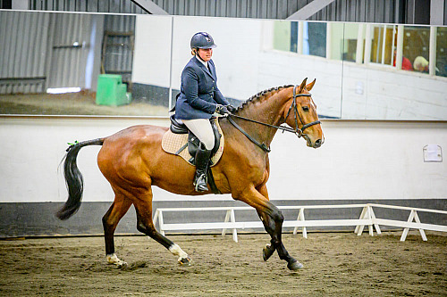  Redhorse Dressage at Willow Farm (2106) 