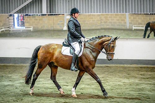 Redhorse Dressage at Willow Farm (2122) 