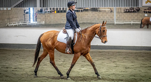Redhorse Dressage at Willow Farm (2129) 