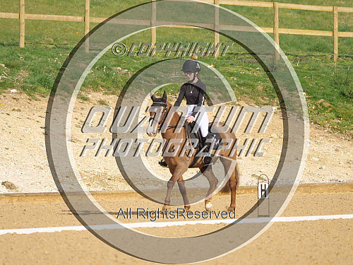 Breach Barn Dressage (2205) 