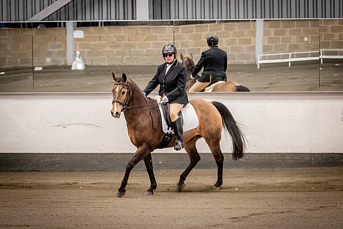  Redhorse Dressage at Willow Farm (2206) 