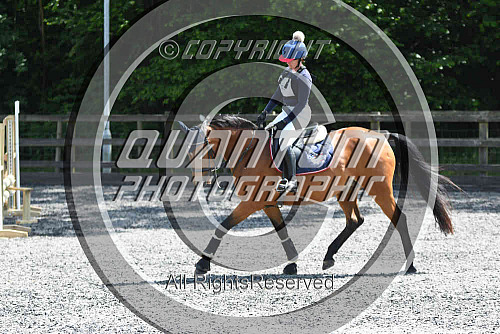 Breach Barn Arena Cross Country - Day 1 (2218) 