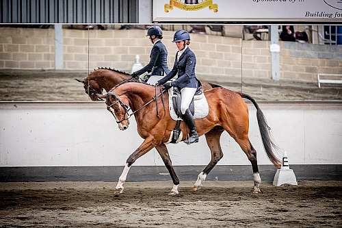 Redhorse Dressage at Willow Farm (2224) 