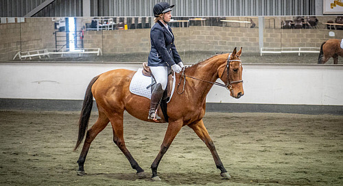 Redhorse Championship Dressage at Willow Farm (2232) 