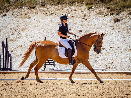 Breach Barn Dressage (2234) 