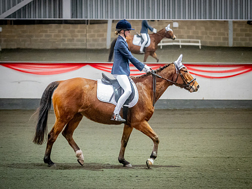 Redhorse Dressage at Willow Farm (QP2301) 