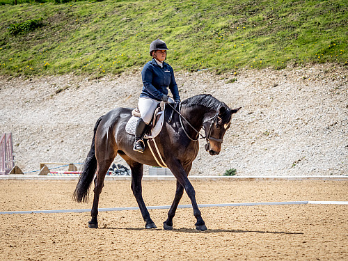  Breach Barn Dressage (QP2318) 