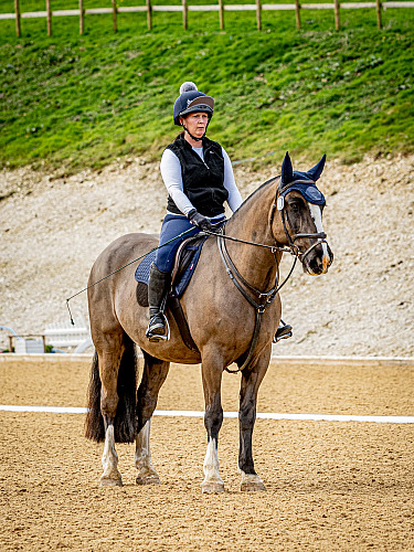 Breach Barn Dressage (QP2312) 